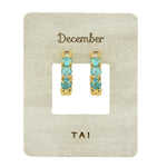 TAI JEWELRY | Birthstone Huggies | Earrings |