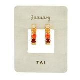 TAI JEWELRY Earrings January Birthstone Huggies