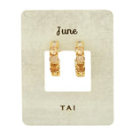 TAI JEWELRY | Birthstone Huggies | Earrings |