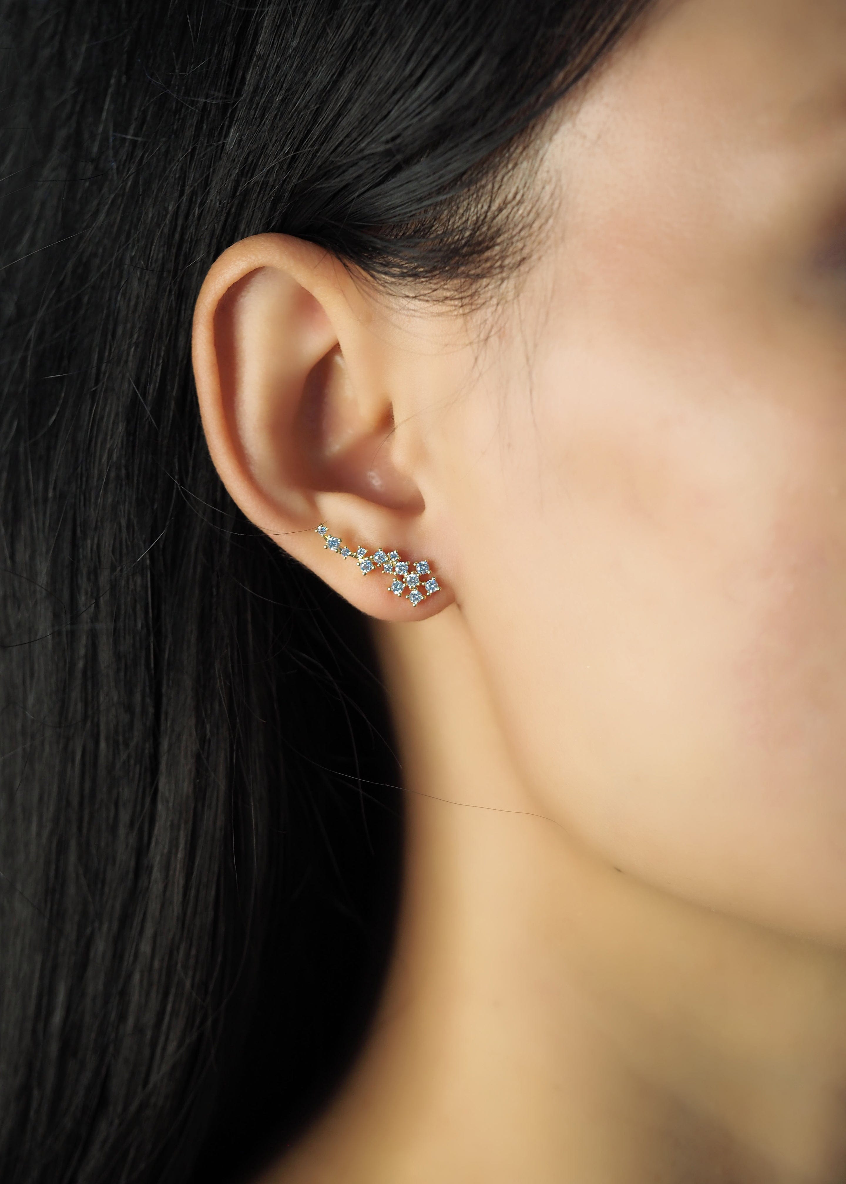 TAI JEWELRY Earrings Flower Cz Crawler