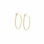 TAI JEWELRY Earrings GOLD / MOON Small Hoop Earrings With Stud