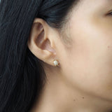 TAI JEWELRY Earrings Pave CZ Turtle Studs