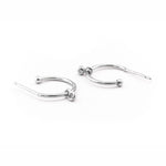 TAI JEWELRY Earrings Silver Small Hook Earring With Cz Charm